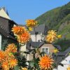 Mitgliederausflug Cochem 27.9.2014