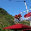 Mitgliederausflug Cochem 27.9.2014