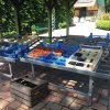 Planwagenfahrt Sebbel 22.7.2017