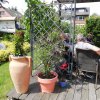 Senioren Radtour Kökelsum 20.9.2019