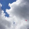 Sommerfest 70 Jahre Ortsgruppe 06.08.2022