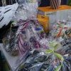 Sommerfest 70 Jahre Ortsgruppe 06.08.2022