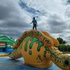 Familienfest Maislabyrinth