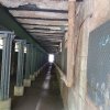 Landschaftspark DU 31.7.2025